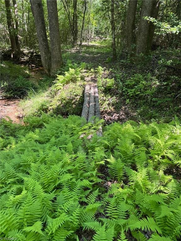LOT54 Billings Hill Church Rd, Traphill, NC 28683