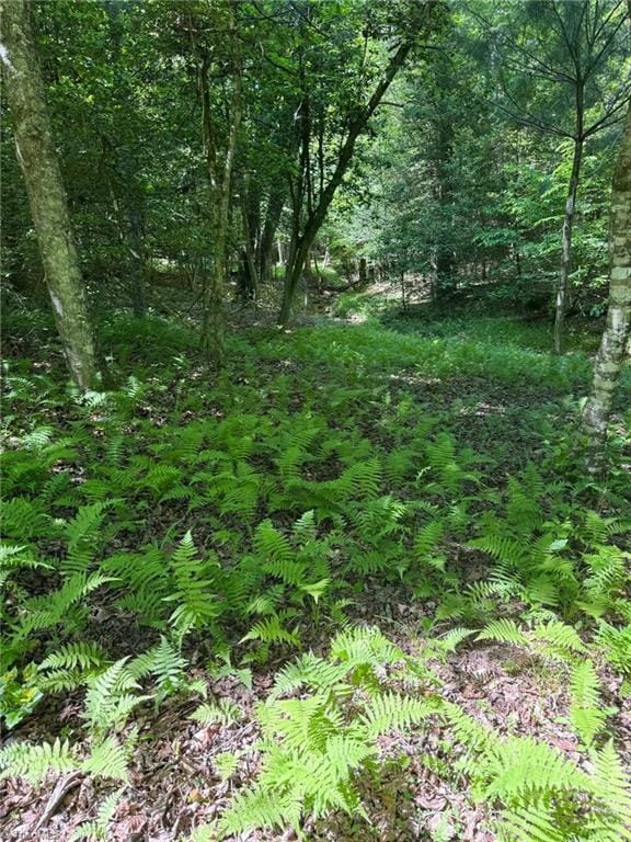 LOT54 Billings Hill Church Rd, Traphill, NC 28683