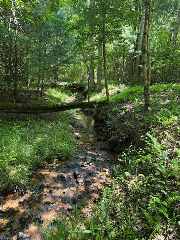 LOT54 Billings Hill Church Rd, Traphill, NC 28683