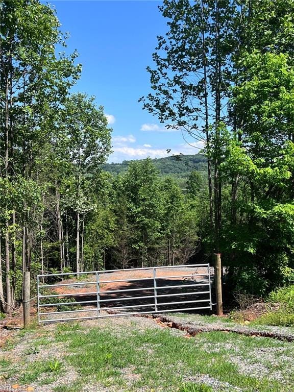 LOT54 Billings Hill Church Rd, Traphill, NC 28683