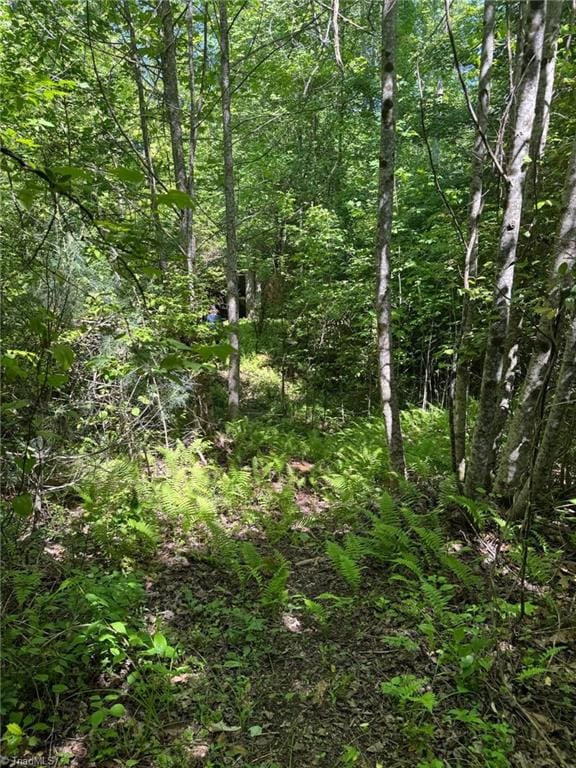 LOT54 Billings Hill Church Rd, Traphill, NC 28683