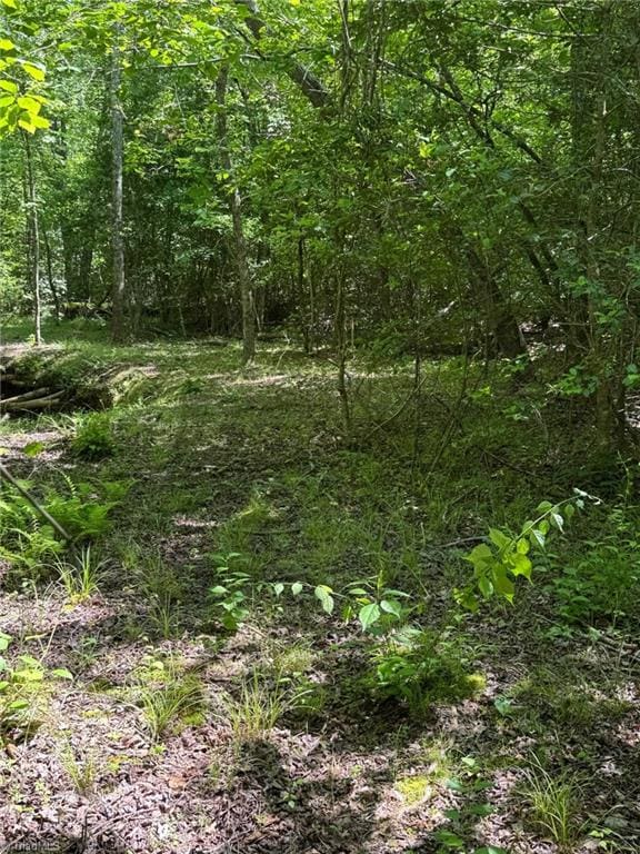LOT54 Billings Hill Church Rd, Traphill, NC 28683