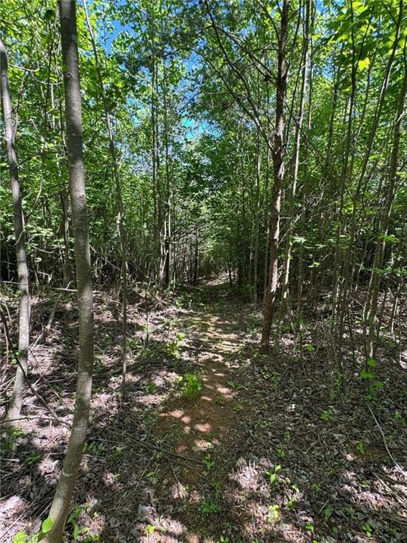 LOT54 Billings Hill Church Rd, Traphill, NC 28683