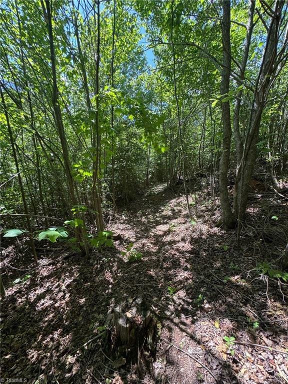 LOT54 Billings Hill Church Rd, Traphill, NC 28683