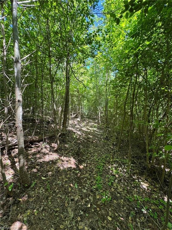 LOT54 Billings Hill Church Rd, Traphill, NC 28683