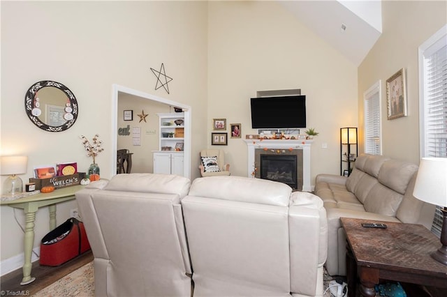 living room with hardwood / wood-style floors and high vaulted ceiling