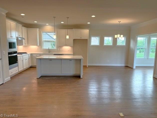 7607 Valhalla Way Lot 20, Greensboro, NC 27409 - kitchen with a healthy amount of sunlight, ornamental molding, stainless steel oven, and baseboards