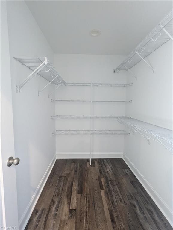 walk in closet featuring wood finished floors