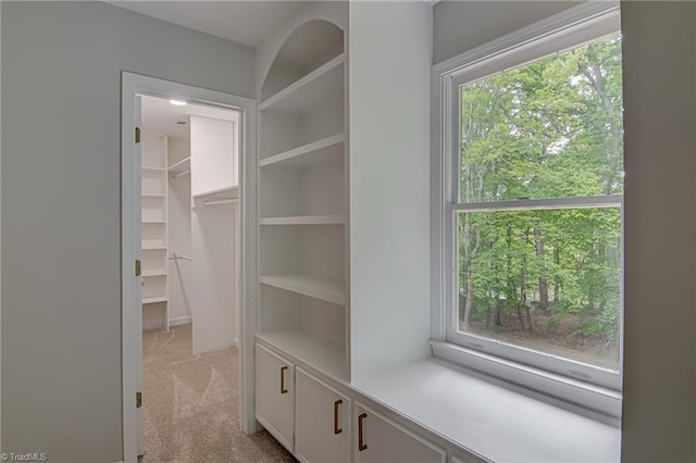 walk in closet with light carpet