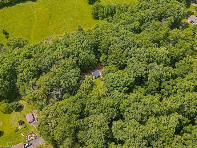 aerial view of a forest
