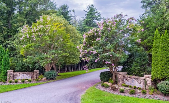 Listing photo 2 for TBD Wyncrest Terrace, Mount Airy NC 27030