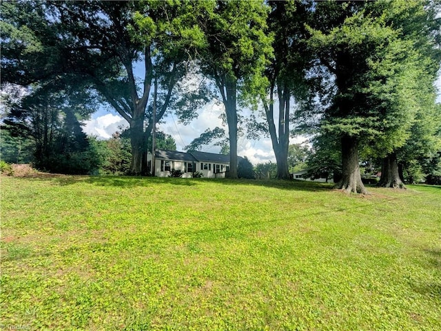 5675 Main St, Bethania, NC 27040 - view of green lawn