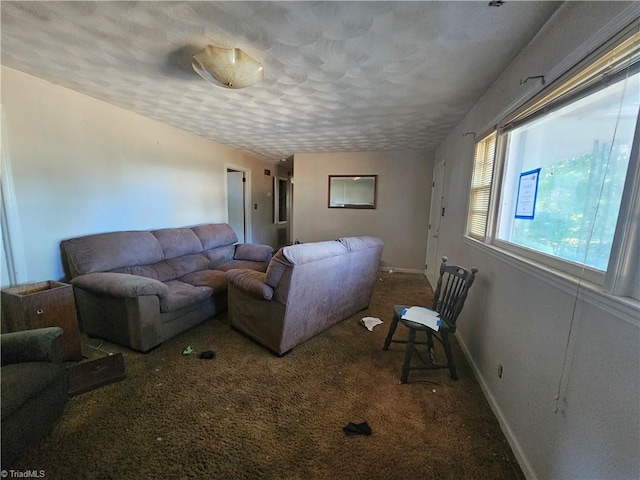 carpeted living room with a textured ceiling