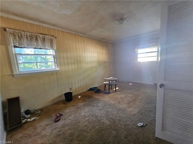 carpeted spare room featuring a textured ceiling and wooden walls