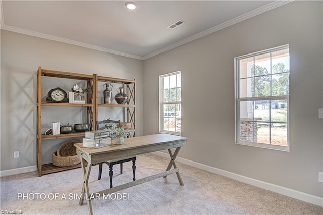 office space featuring ornamental molding and carpet