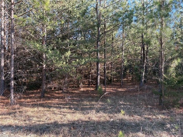 Listing photo 2 for 0 NC Highway 13, Asheboro NC 27205