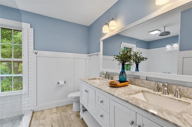 full bath featuring double vanity, a wainscoted wall, toilet, and a sink