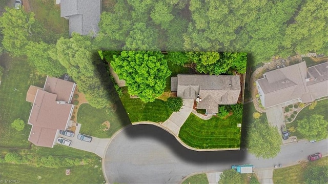 bird's eye view
