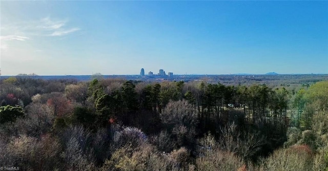 Listing photo 3 for 0 Flatrock St, Winston-Salem NC 27107