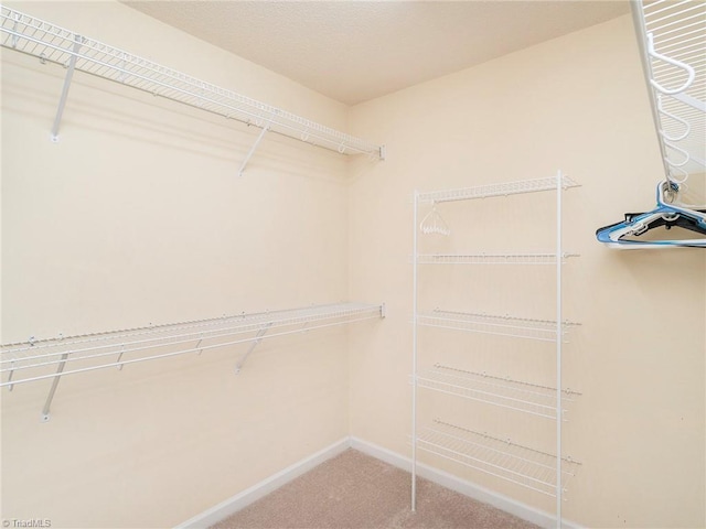 1307 Montreux Ct, Mebane, NC 27302 - walk in closet featuring carpet