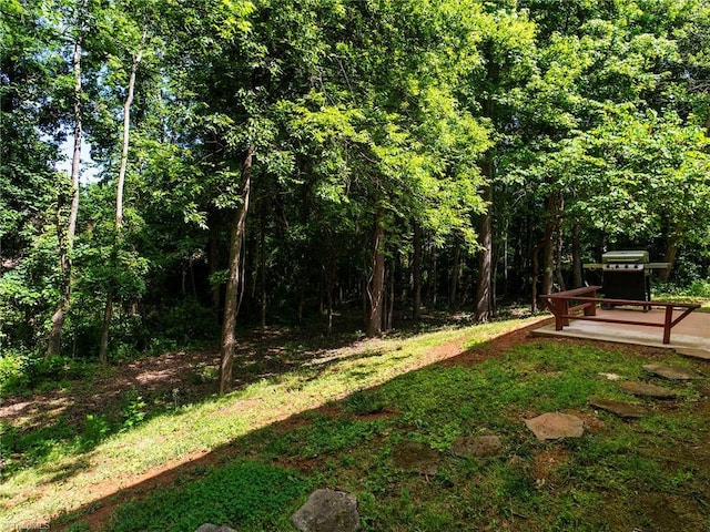 1307 Montreux Ct, Mebane, NC 27302 - view of yard with a wooded view