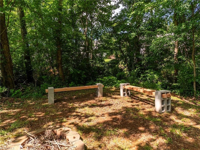 1307 Montreux Ct, Mebane, NC 27302 - view of gate