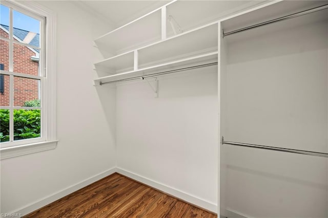 spacious closet with dark wood-type flooring