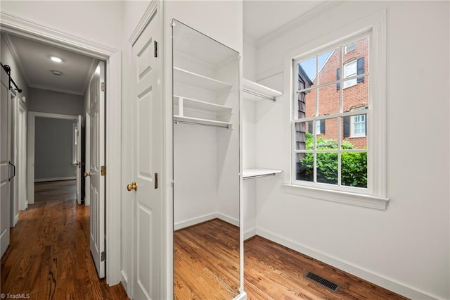 spacious closet with visible vents and dark wood-style flooring