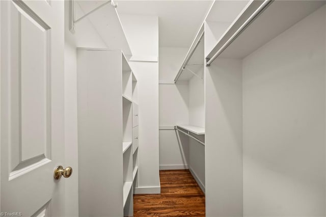 walk in closet with dark wood-style flooring