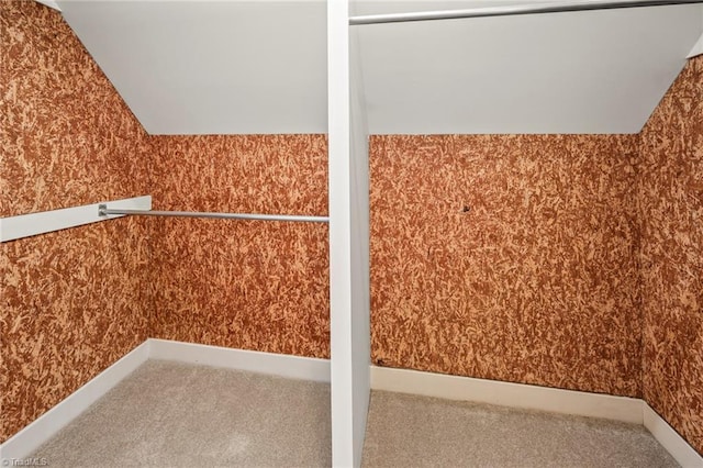 interior space with carpet