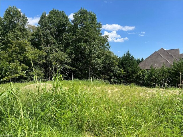 Listing photo 3 for 0 Sprucewood Ct, Archdale NC 27263