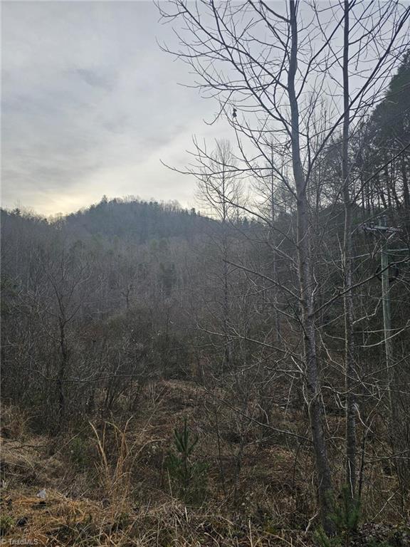 00 Elk Creek Darby Rd, Ferguson, NC 28624