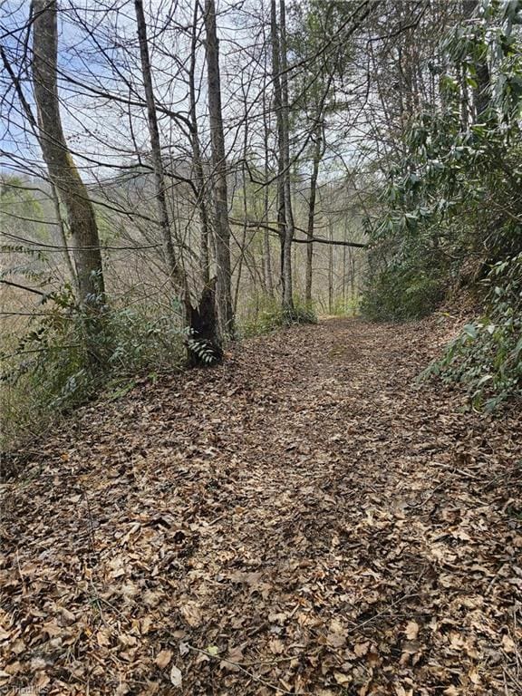 00 Elk Creek Darby Rd, Ferguson, NC 28624