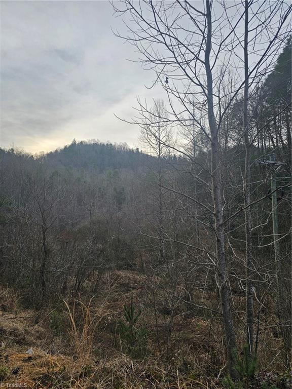 00 Elk Creek Darby Rd, Ferguson, NC 28624