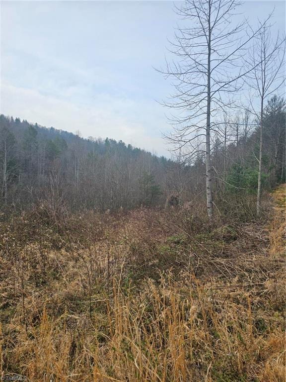 00 Elk Creek Darby Rd, Ferguson, NC 28624
