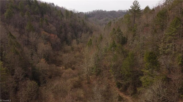 00 Elk Creek Darby Rd, Ferguson, NC 28624