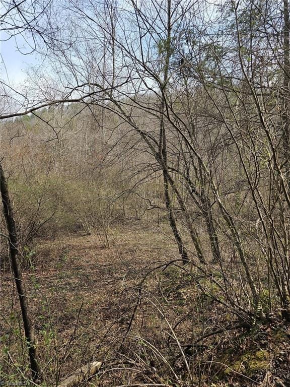 00 Elk Creek Darby Rd, Ferguson, NC 28624