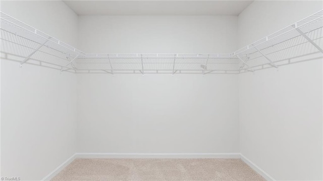 821 Merriweather Dr, King, NC 27021 - spacious closet with carpet