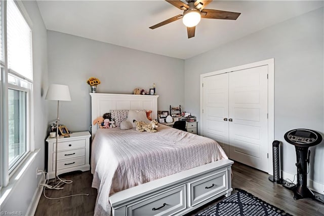 bedroom with dark wood-type flooring, ceiling fan, and a closet