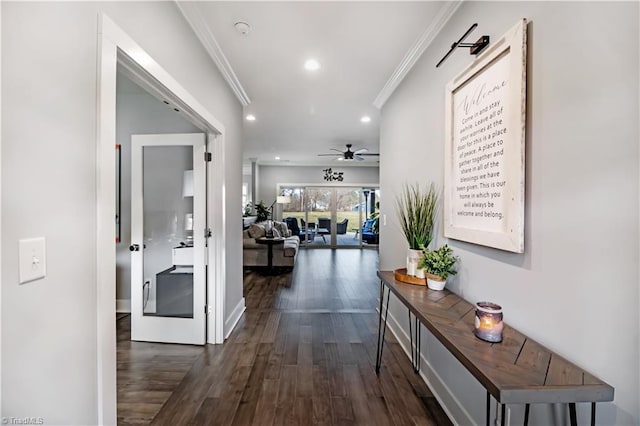 corridor featuring crown molding and dark hardwood / wood-style flooring