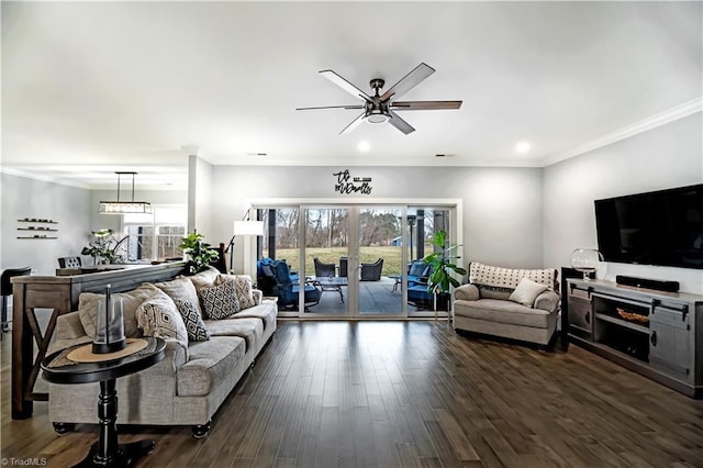 living room featuring ceiling fan, crown molding, and dark hardwood / wood-style flooring