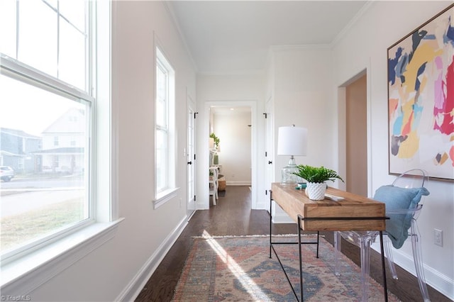 office space with baseboards, dark wood-style flooring, and ornamental molding