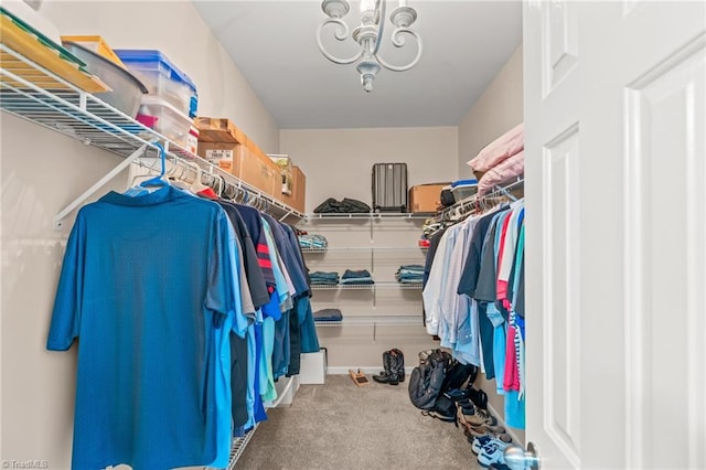 walk in closet featuring carpet