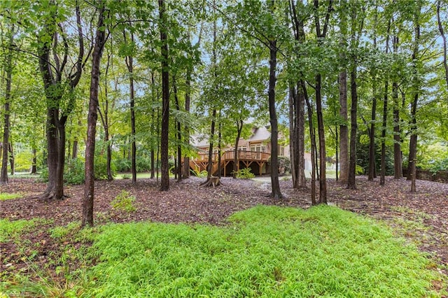 view of yard featuring a deck