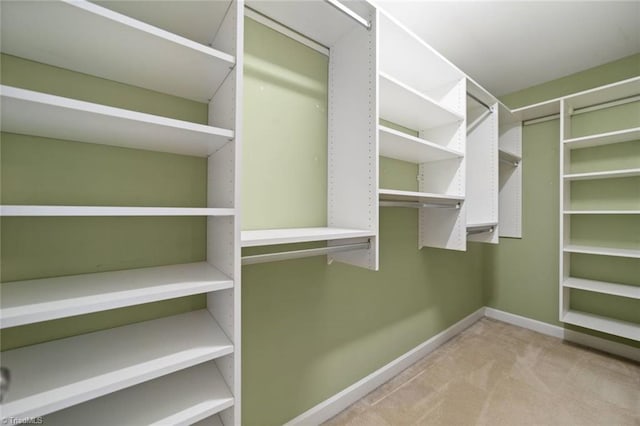 spacious closet featuring carpet flooring