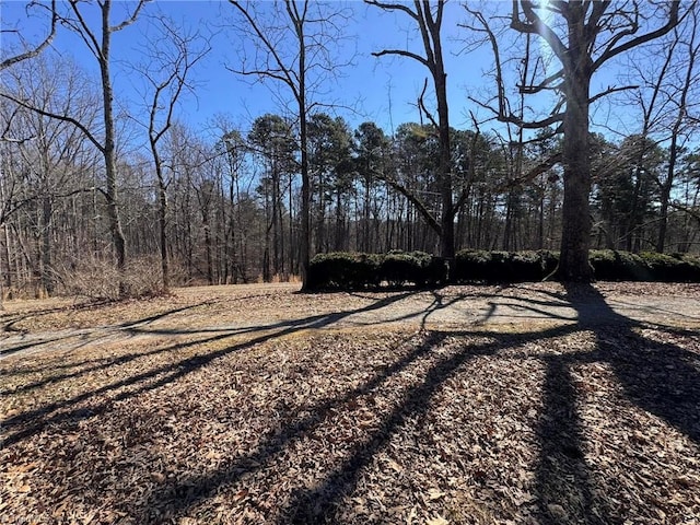 view of road with a wooded view