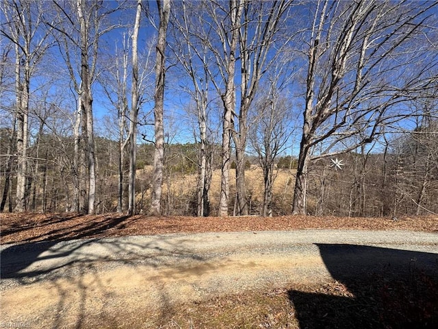 view of yard featuring a forest view