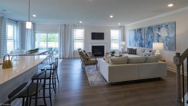 living room featuring crown molding and dark hardwood / wood-style floors