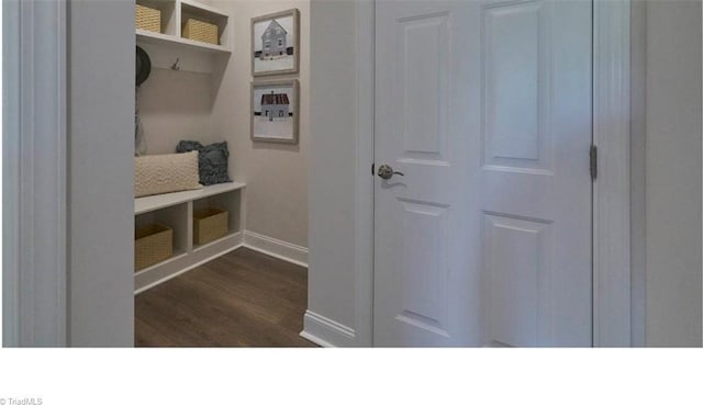 mudroom featuring dark hardwood / wood-style floors