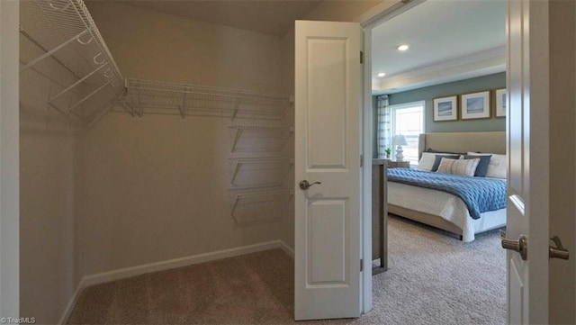 spacious closet with carpet floors